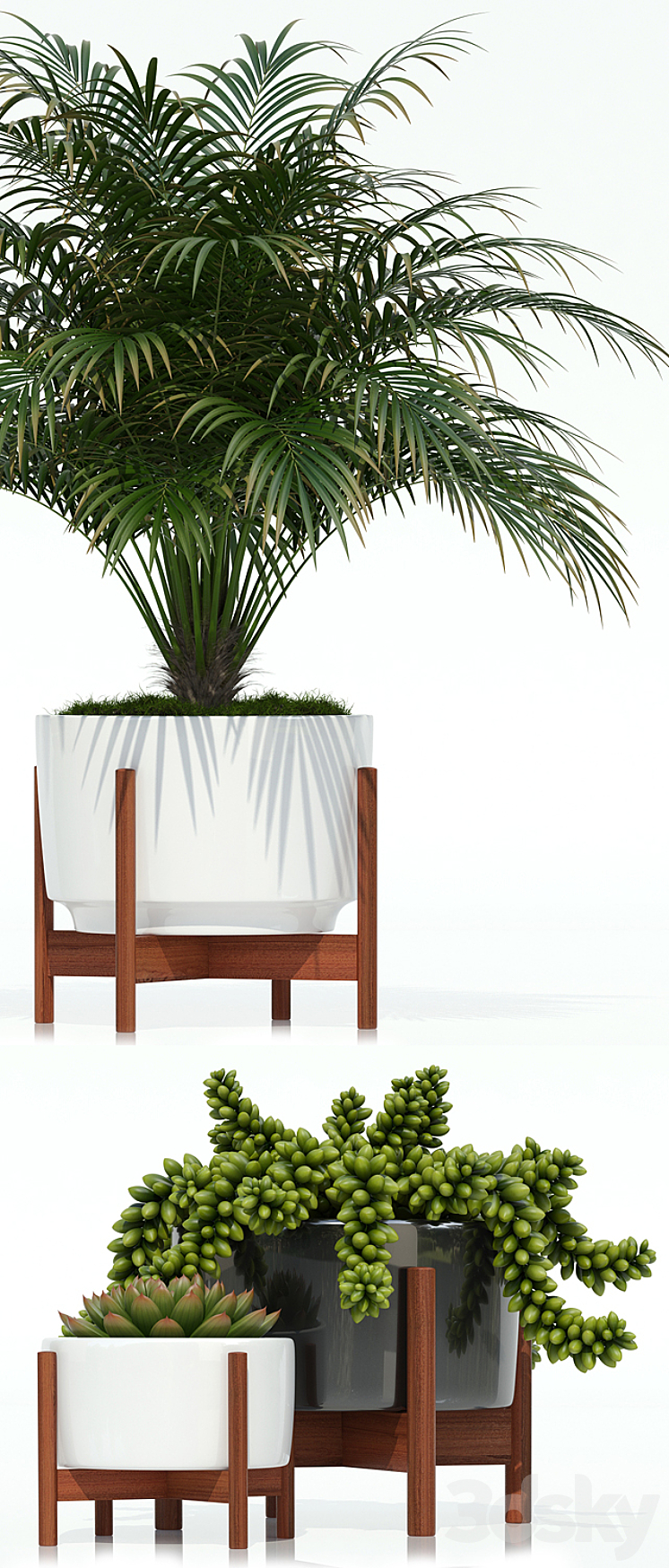 Plants collection 68 Modernica pots 3DS Max - thumbnail 2