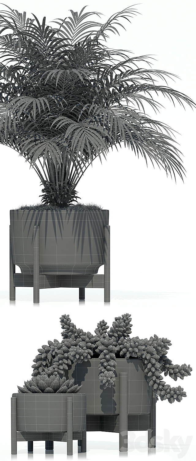 Plants collection 68 Modernica pots 3DSMax File - thumbnail 3