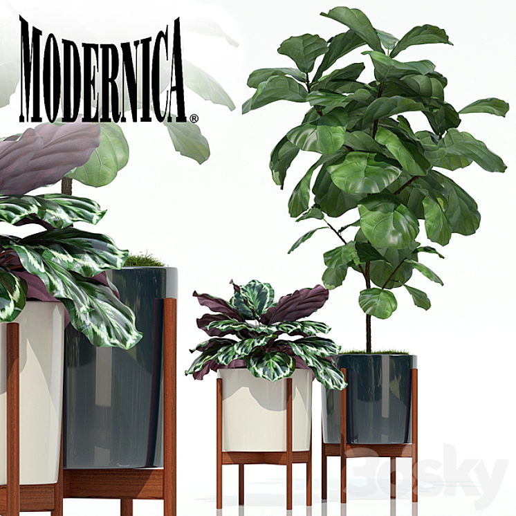 Plants collection 69 Modernica pots 3DS Max - thumbnail 1