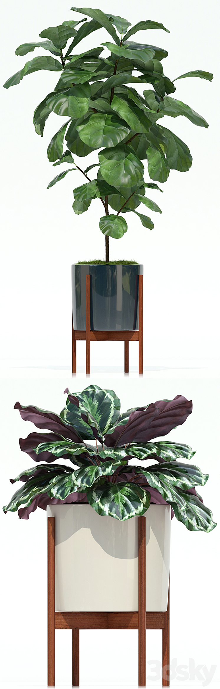 Plants collection 69 Modernica pots 3DS Max - thumbnail 2