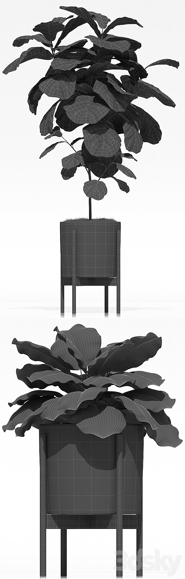 Plants collection 69 Modernica pots 3DSMax File - thumbnail 3