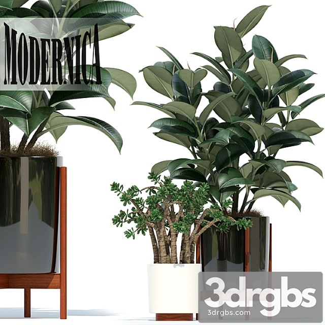 Plants collection 72 modernica pots - thumbnail 1