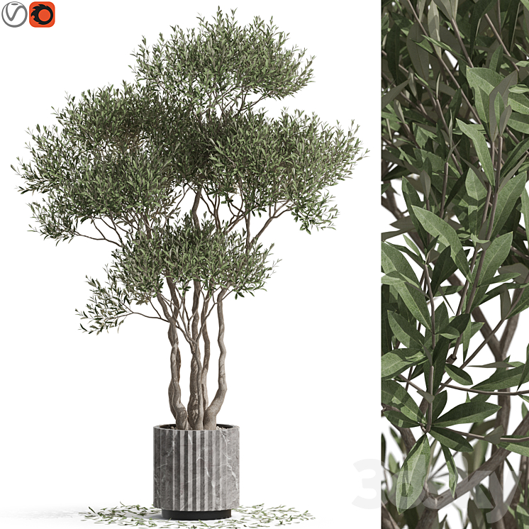 Plants collection 723 3DS Max Model - thumbnail 3