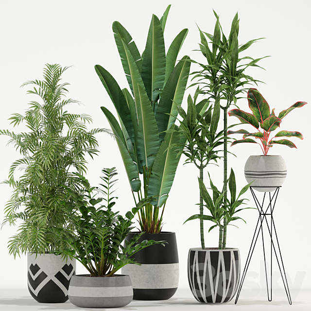 Plants collection 726 3ds Max - thumbnail 1