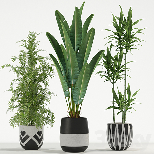 Plants collection 726 3ds Max - thumbnail 2