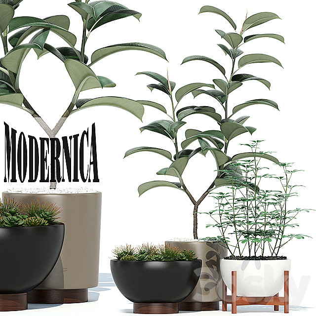 Plants collection 73 Modernica pots 3DSMax File - thumbnail 1