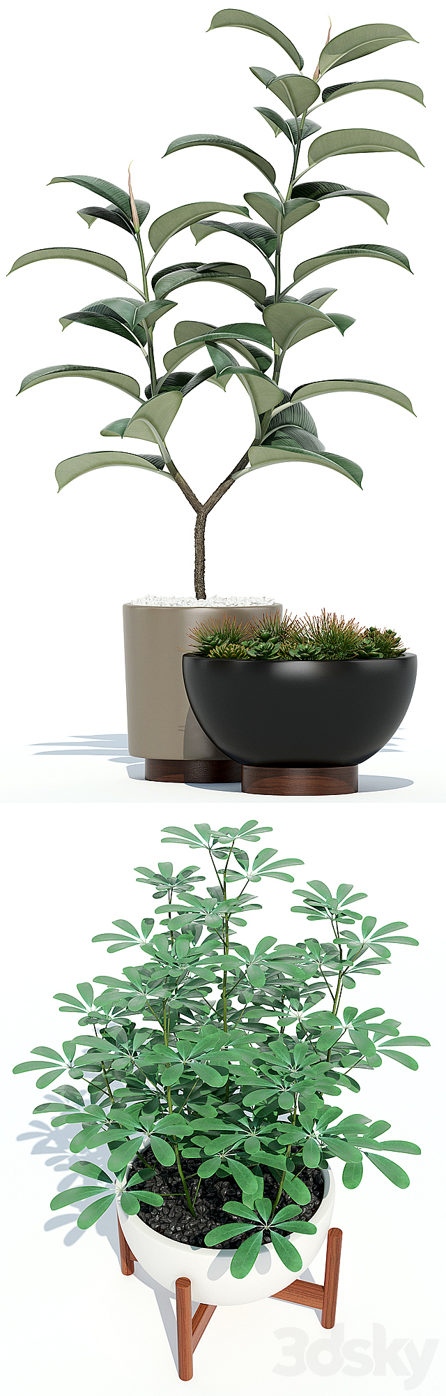 Plants collection 73 Modernica pots 3DSMax File - thumbnail 2