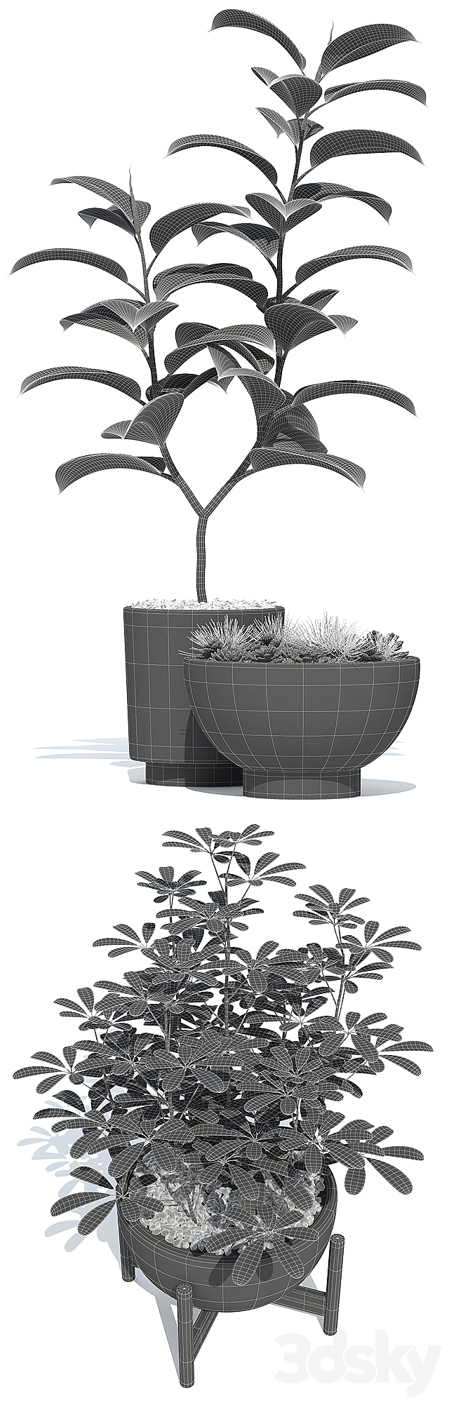 Plants collection 73 Modernica pots 3DSMax File - thumbnail 3