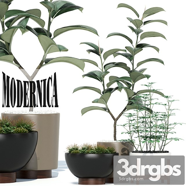 Plants collection 73 modernica pots - thumbnail 1