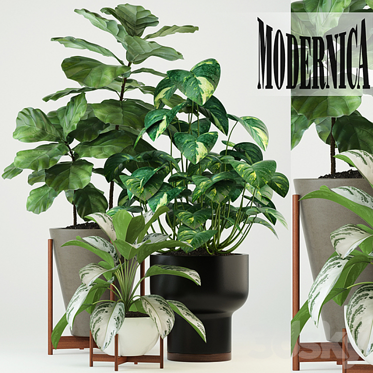 Plants collection 74 Modernica pots 3DS Max - thumbnail 1