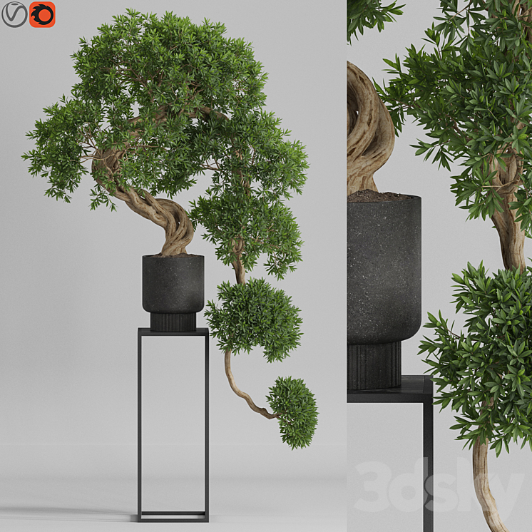 Plants collection 744 3DS Max - thumbnail 1