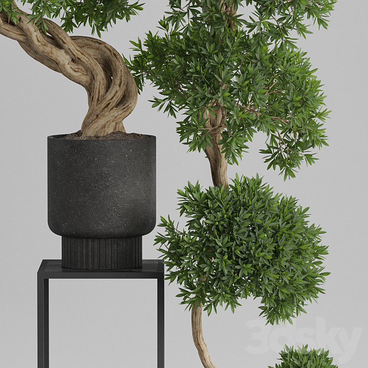 Plants collection 744 3DS Max - thumbnail 2