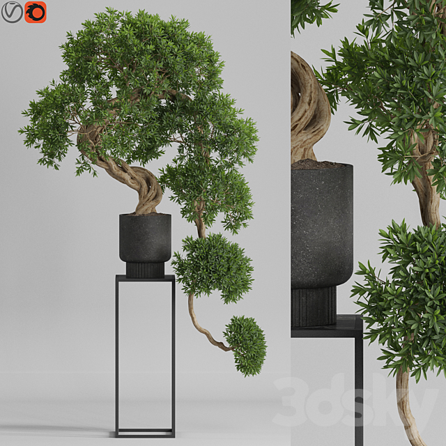 Plants collection 744 3DSMax File - thumbnail 1