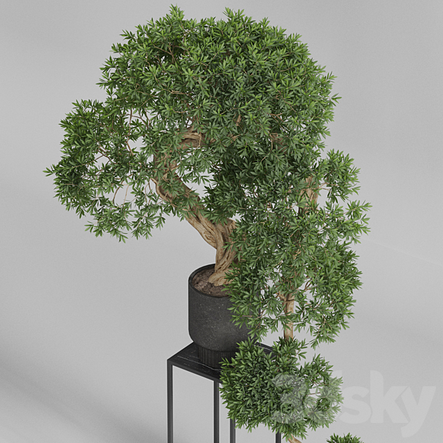 Plants collection 744 3DSMax File - thumbnail 3