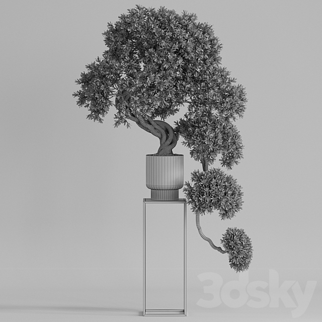 Plants collection 744 3DSMax File - thumbnail 4