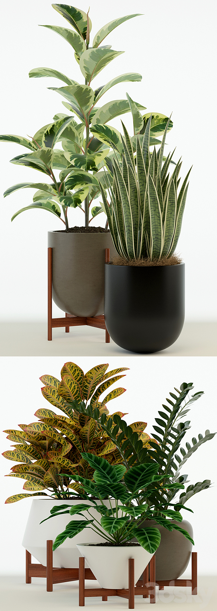 Plants collection 75 Modernica pots 3DS Max - thumbnail 2