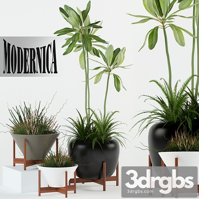 Plants collection 77 modernica pots - thumbnail 1