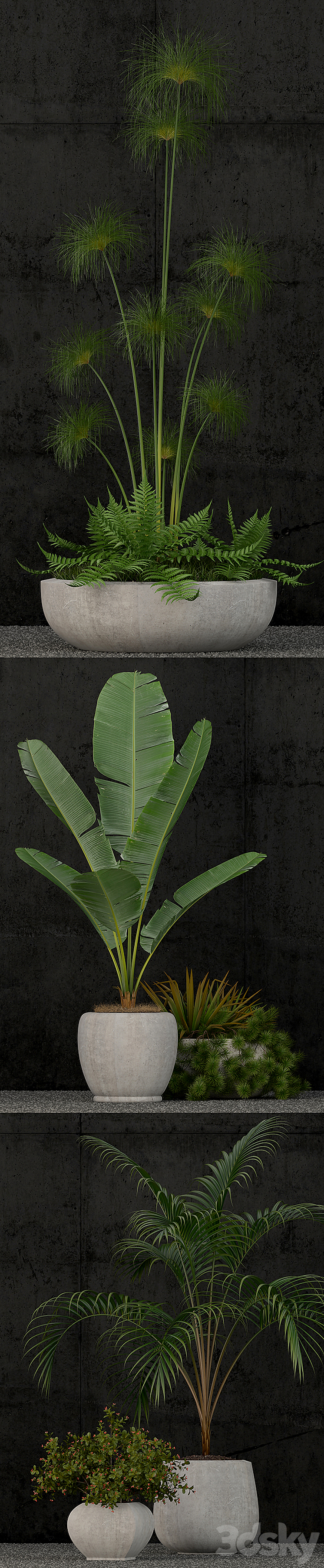 Plants collection 80 3DS Max - thumbnail 2