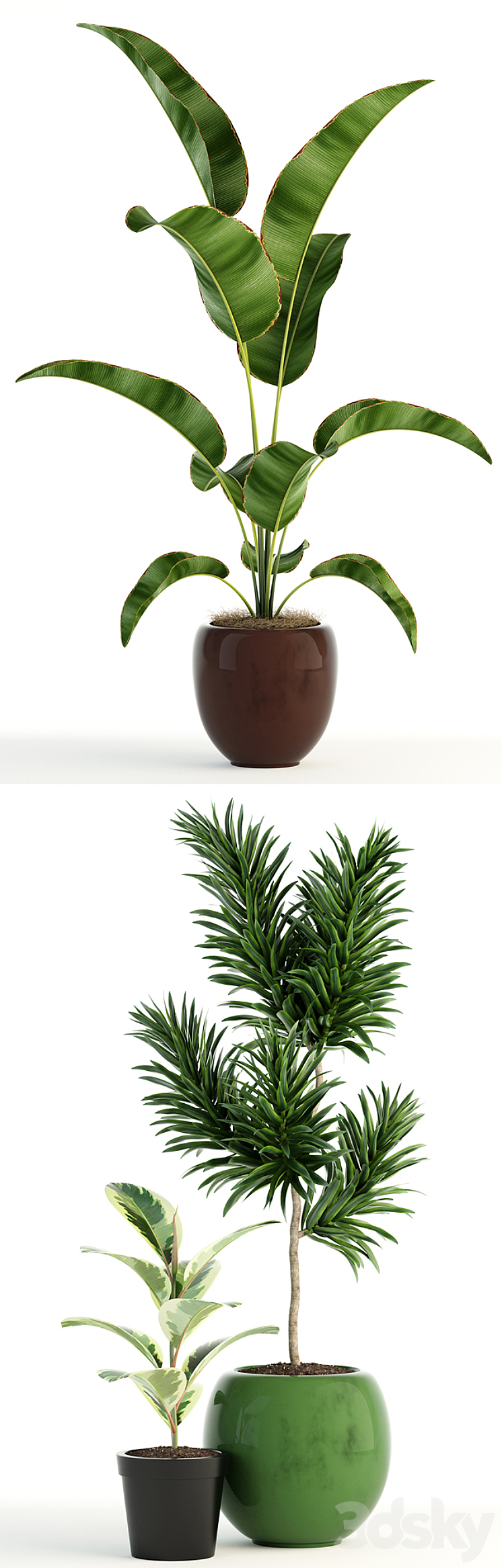 Plants collection 85 3DS Max - thumbnail 2