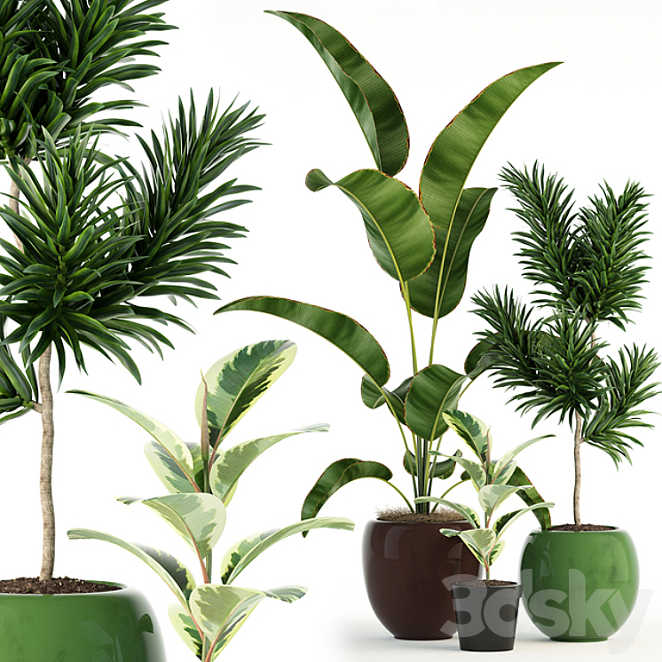 Plants collection 85 3DS Max - thumbnail 1