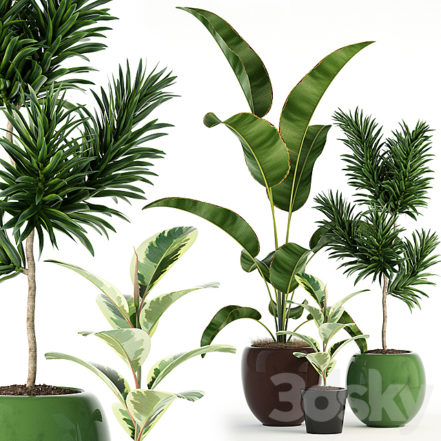 Plants collection 85 3DSMax File - thumbnail 1