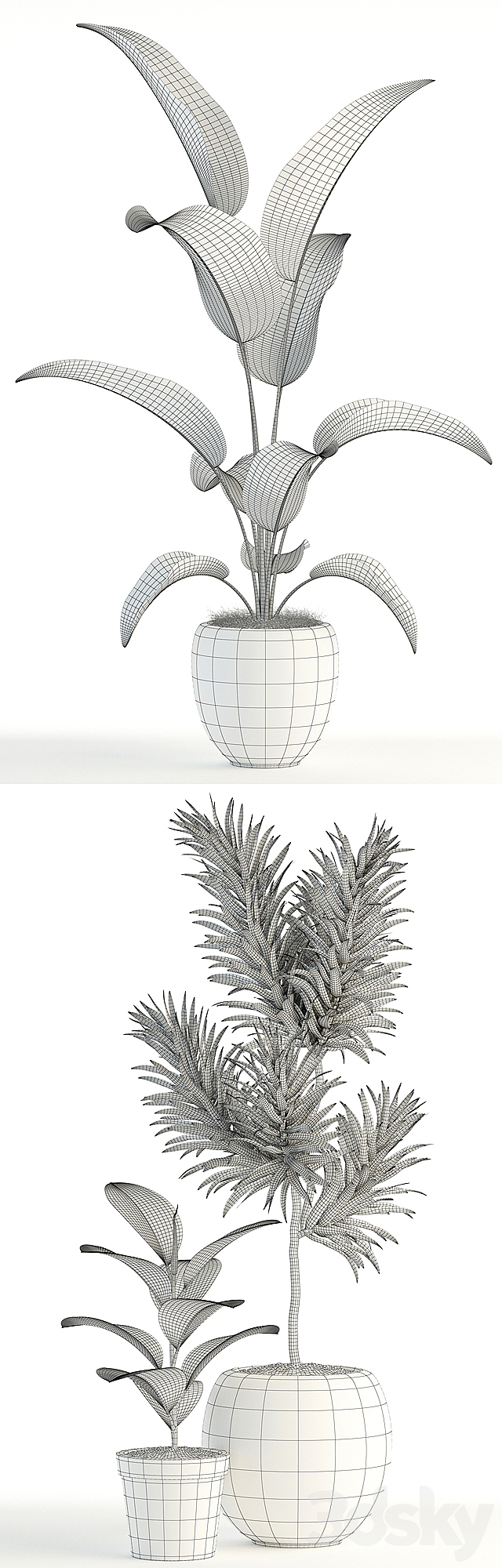 Plants collection 85 3DSMax File - thumbnail 3