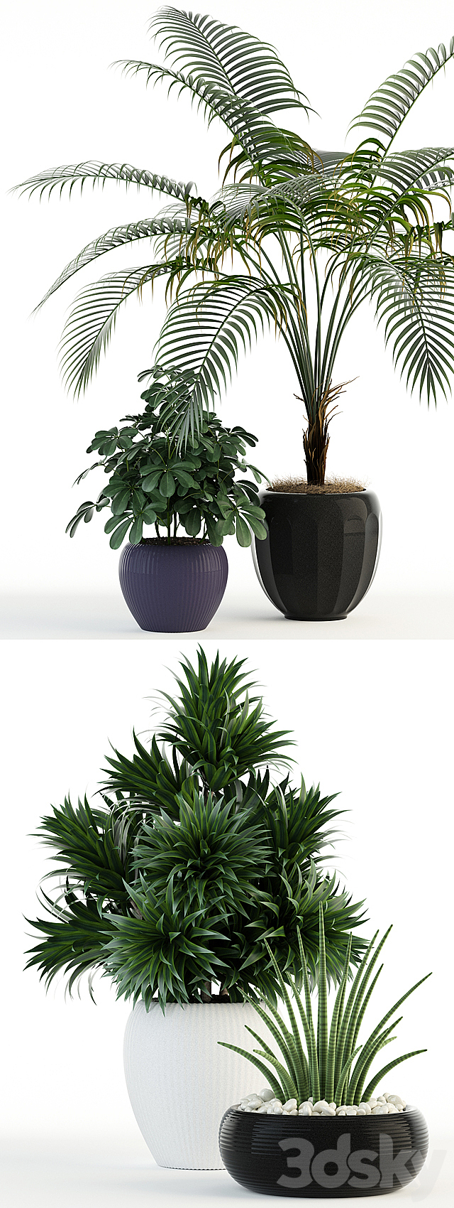 Plants collection 86 3DSMax File - thumbnail 2