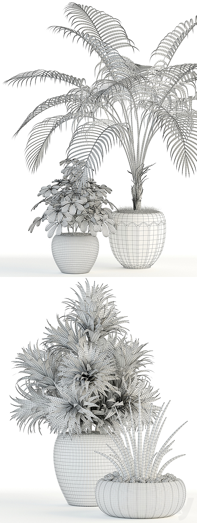 Plants collection 86 3DSMax File - thumbnail 3