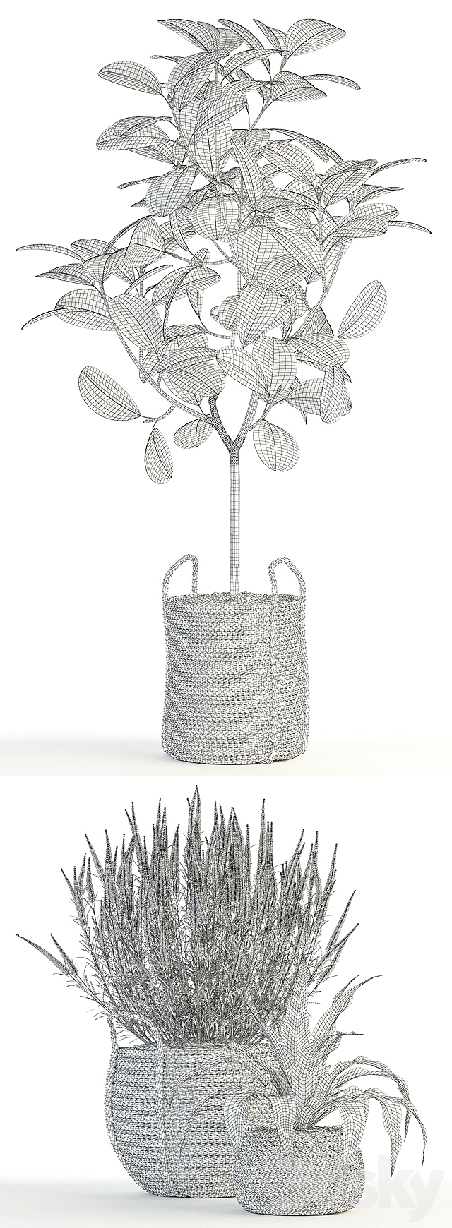 Plants collection 87 3DSMax File - thumbnail 3