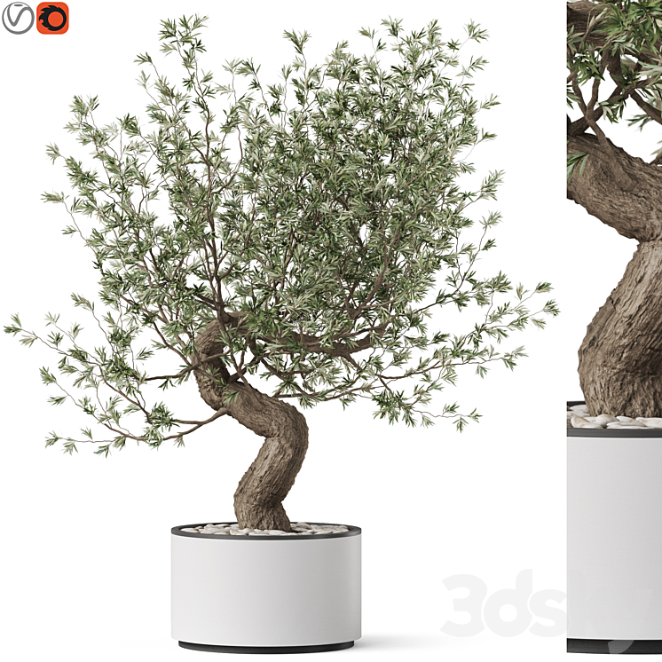 Plants collection 884 3DS Max Model - thumbnail 1