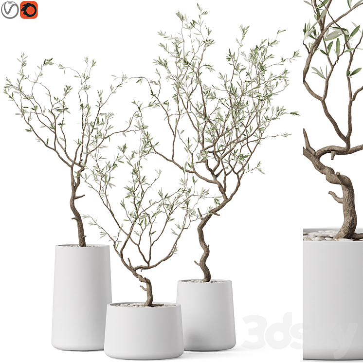 Plants collection 887 3DS Max Model - thumbnail 1