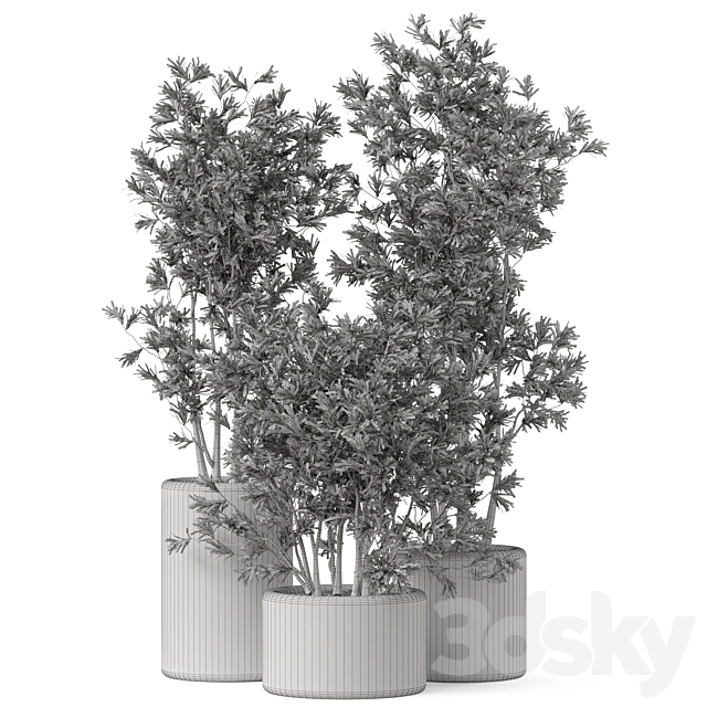 Plants collection 893 3DS Max Model - thumbnail 4