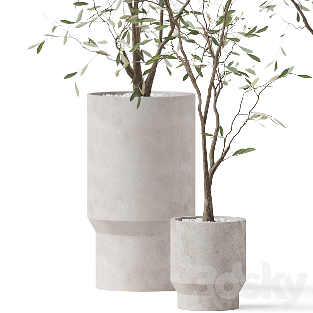 Plants collection 900 3DS Max Model - thumbnail 2