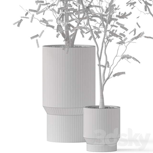 Plants collection 900 3DS Max Model - thumbnail 5