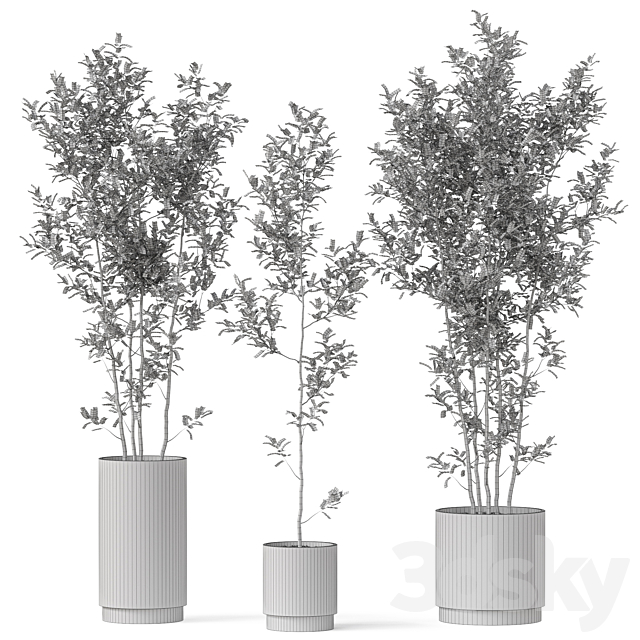 Plants collection 901 3DS Max Model - thumbnail 4