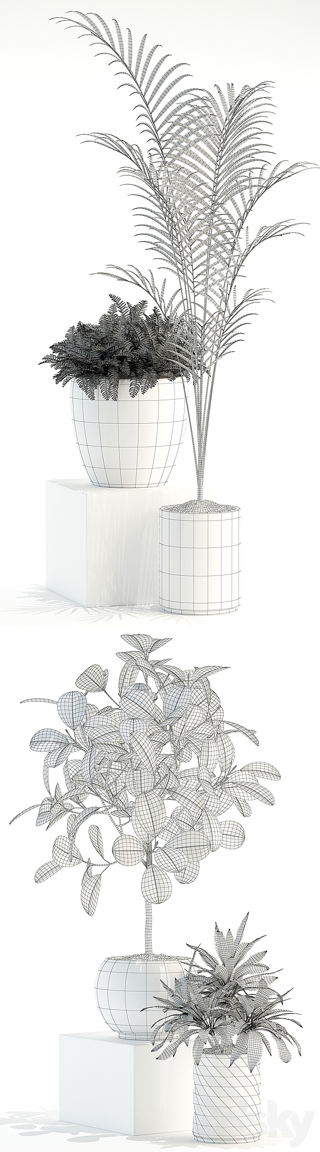 Plants collection 92 3DS Max Model - thumbnail 3