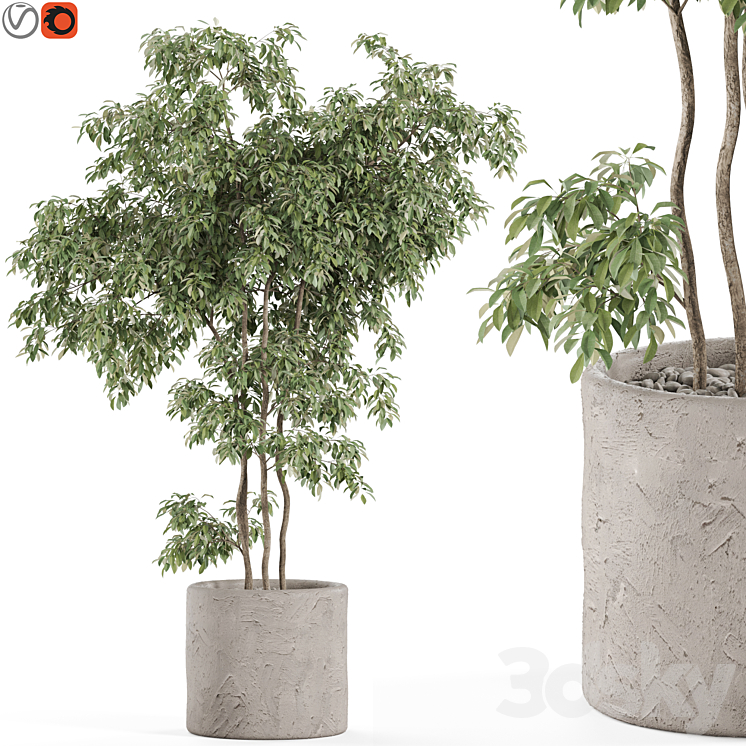 Plants collection 964 3DS Max Model - thumbnail 1