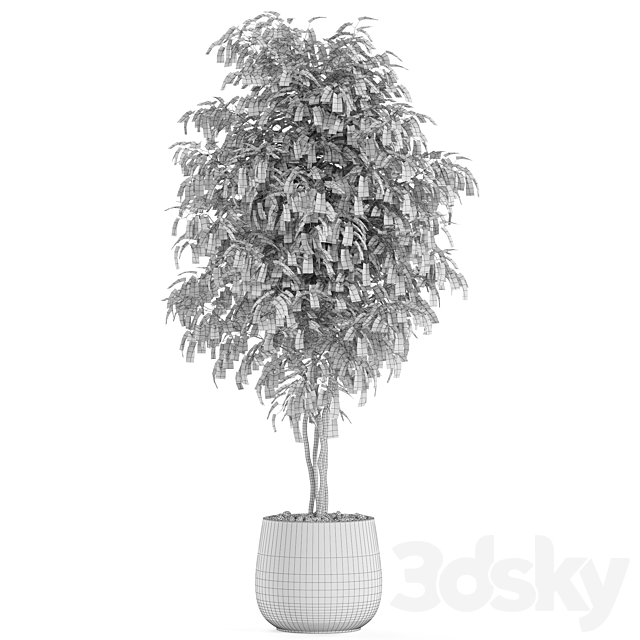 Plants collection 975 3ds Max - thumbnail 3