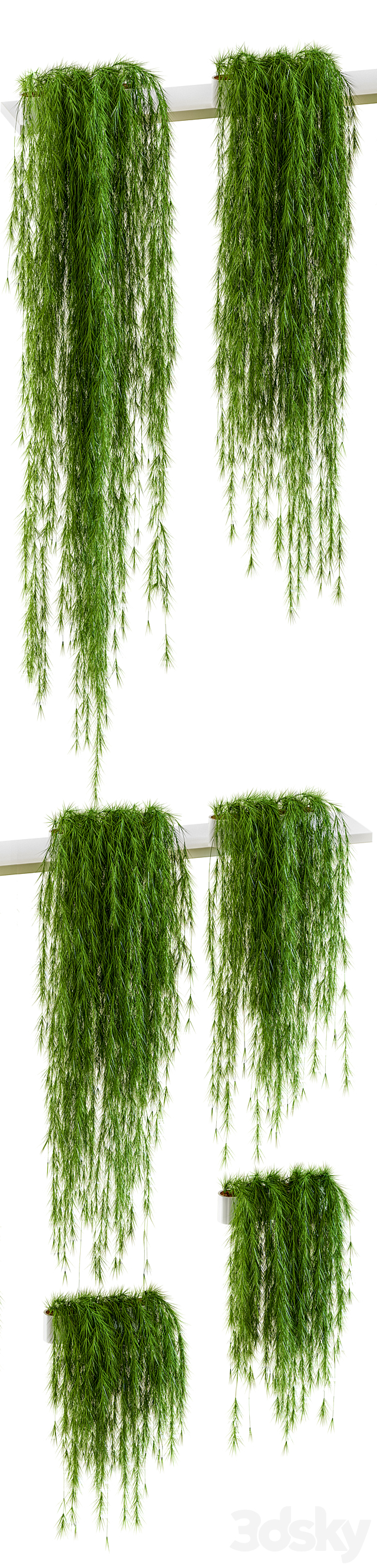 Plants for shelves. 6 items 3DSMax File - thumbnail 2