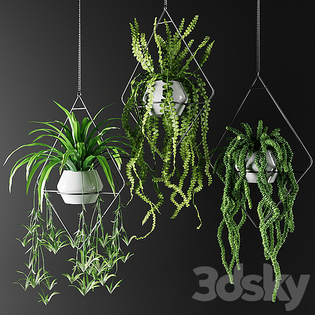 Plants in hanging flowerpots in diamonds | Plants in hanging flowerpots in diamonds 3ds Max - thumbnail 1