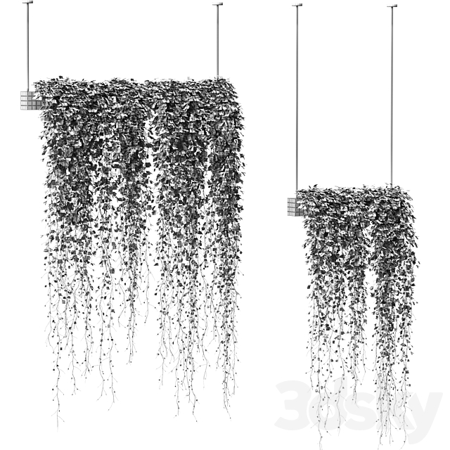 Plants in hanging pots. 2 models 3DSMax File - thumbnail 2