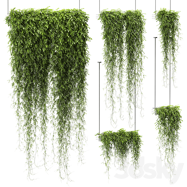 Plants in hanging pots v4. 5 models 3ds Max - thumbnail 1