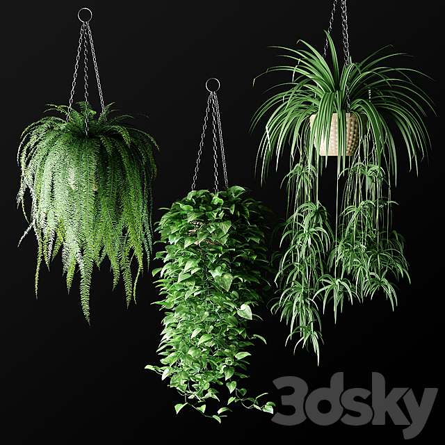 Plants in hanging wicker planters | Plants in Hanging Wicker Planters 3DSMax File - thumbnail 1