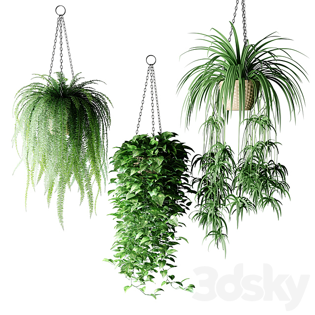 Plants in hanging wicker planters | Plants in Hanging Wicker Planters 3DSMax File - thumbnail 2