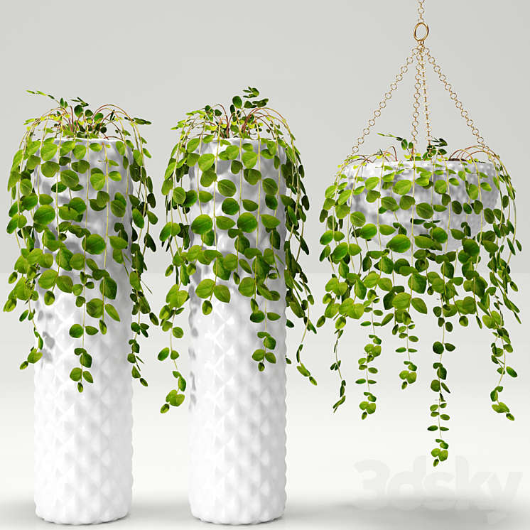 Plants in pots 3DS Max - thumbnail 1