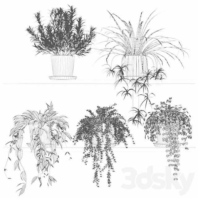 Plants in pots on a shelf 3DS Max Model - thumbnail 2