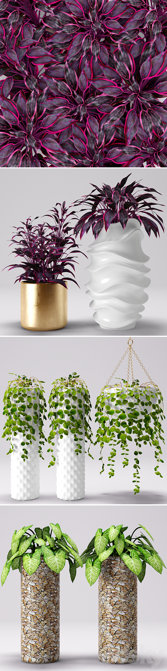 Plants in pots. white pot. flowerpot. flower 3DSMax File - thumbnail 2