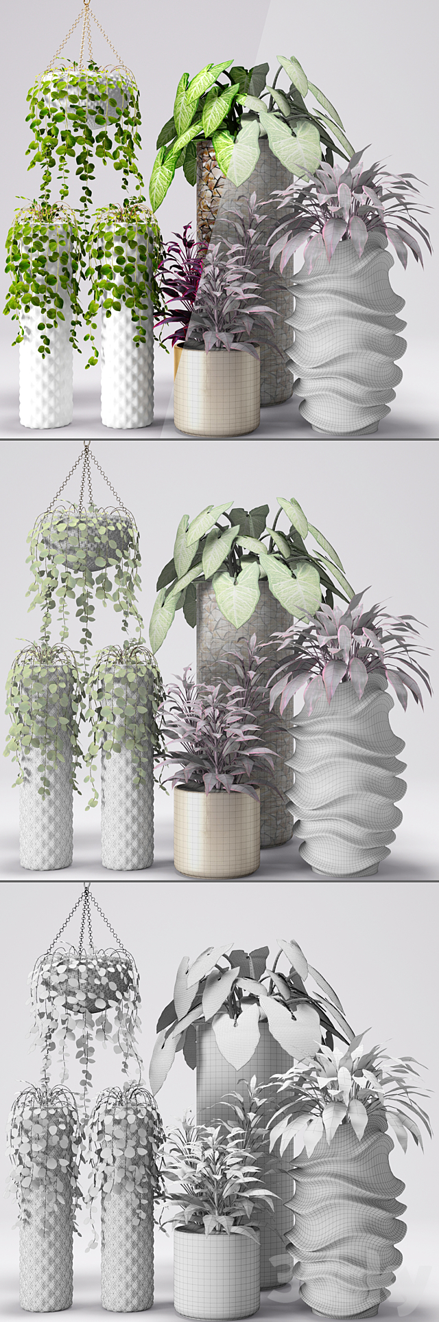 Plants in pots. white pot. flowerpot. flower 3DSMax File - thumbnail 3