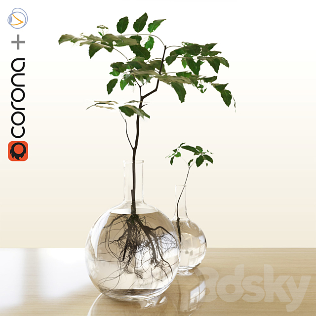 Plants in the flask 3DSMax File - thumbnail 1