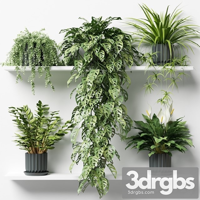 Plants on a shelf in ribbed pots - thumbnail 1